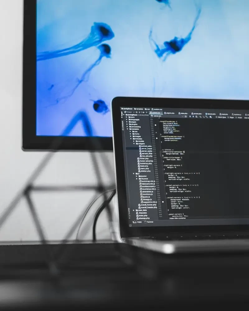 Il web-designer è morto. E quasi nessuno se n’è accorto